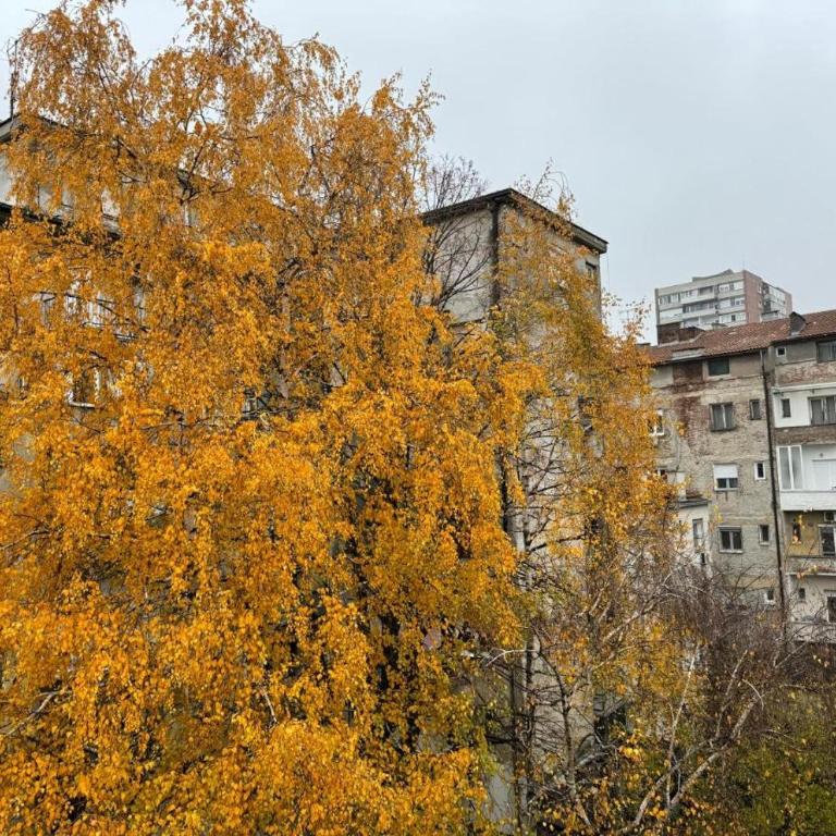 Aqua Apartman - Apartman sa 1 Spavaćom Sobom - 27