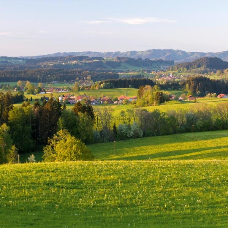 Allgäu-Glück Grünenbach - Apartment mit 3 Schlafzimmern - 22