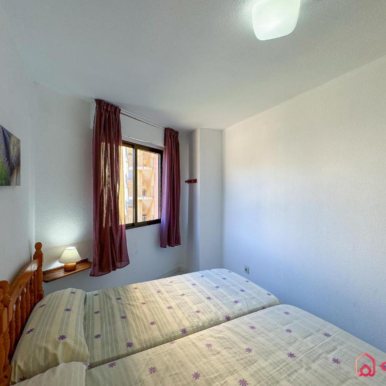 Premium Complejo Mediterráneo - Apartamento de 2 dormitorios con balcón - 16