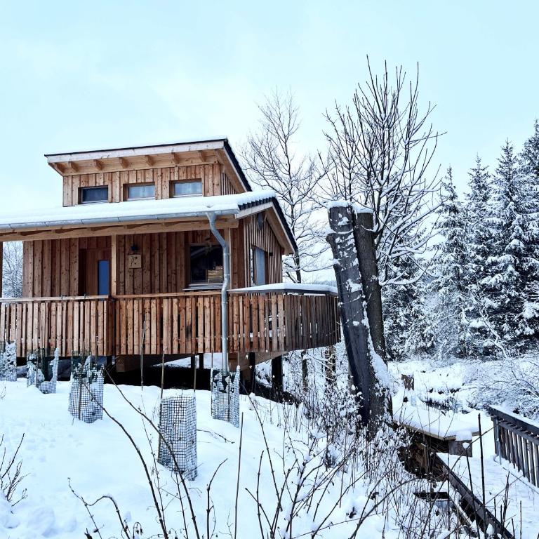Wald ist Zukunft - Baumhaus Specht - 34