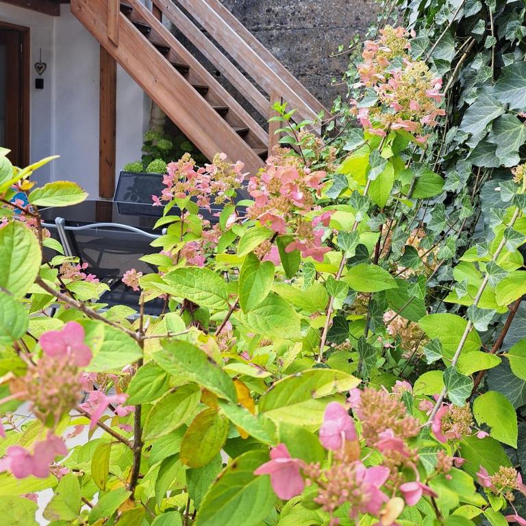 Ferienhaus zum Eibsee - Haus mit 1 Schlafzimmer - 26