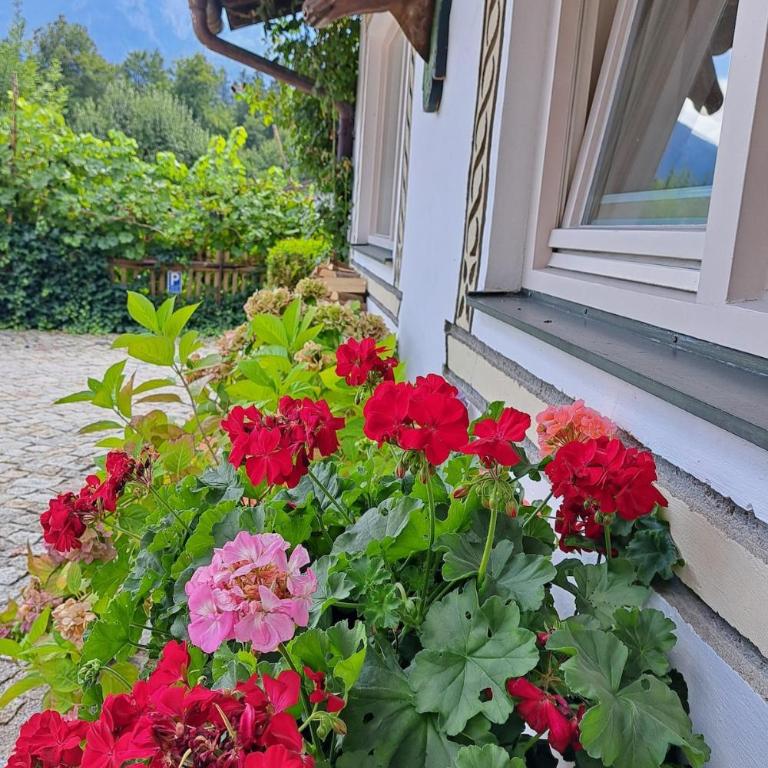 Ferienhaus zum Eibsee - Haus mit 1 Schlafzimmer - 30