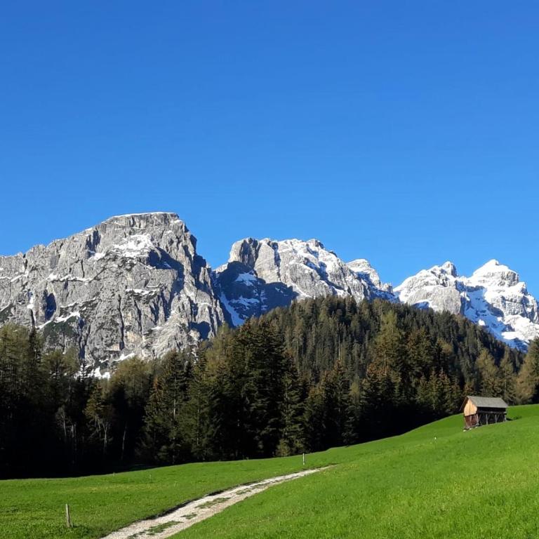 Apartment - Alpin Chalet Frenademetz - Appartamento - 22