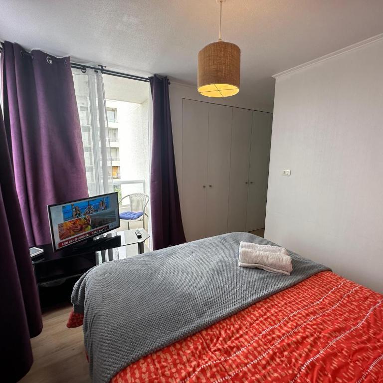 Departamento en Serena - Two-Bedroom Apartment - 3