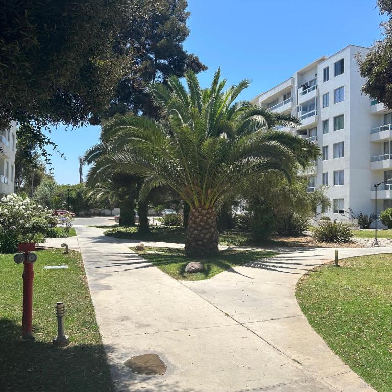 Departamento en Serena - Two-Bedroom Apartment - 30
