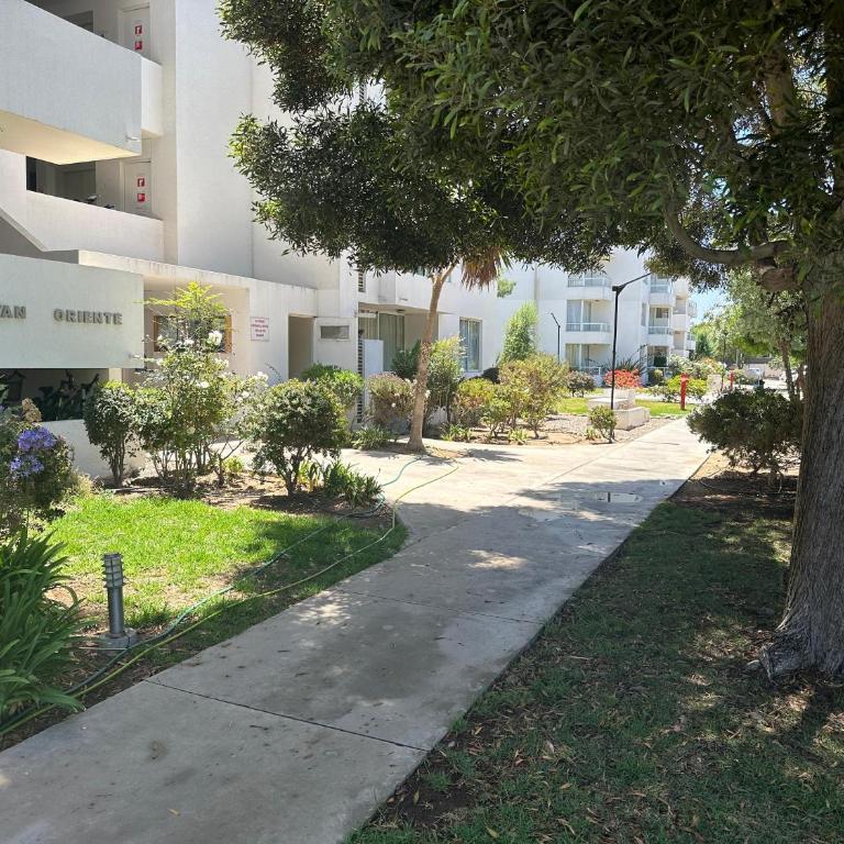 Departamento en Serena - Two-Bedroom Apartment - 1