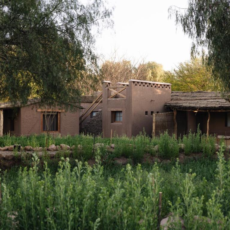 Our Habitas Atacama - Habitación Estándar - 1 cama grande - 4