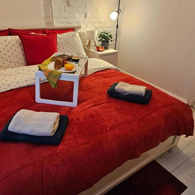 Avalavanda Slavija - Apartman sa 1 Spavaćom Sobom - 3