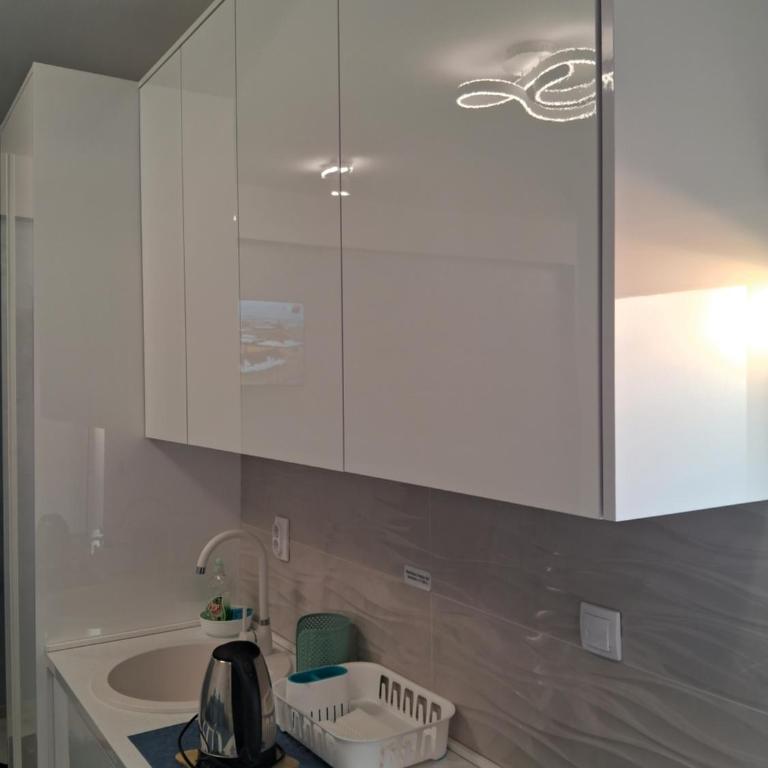 Apartmani Slađo - Premier Apartman sa 1 Spavaćom Sobom - 9