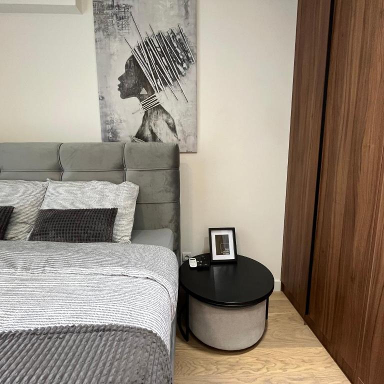 Belgrade Waterfront River View Apartments - Apartman sa 1 Spavaćom Sobom - 3