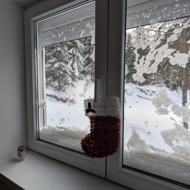 Kopaonička priča - One-Bedroom Apartment - 49