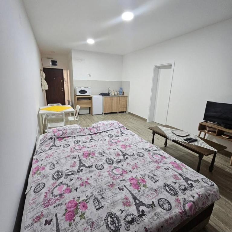 Apartman Gong - Apartman sa 1 Spavaćom Sobom - 9