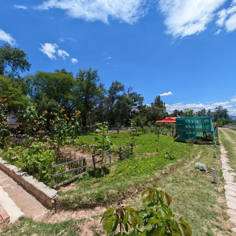 Armonia - La Victoria - Tarija - Casa con 1 dormitorio - 40