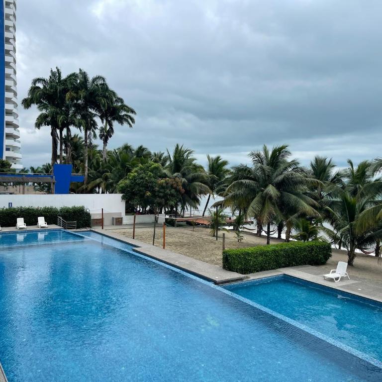 Suite 502 - One-Bedroom Apartment - 5