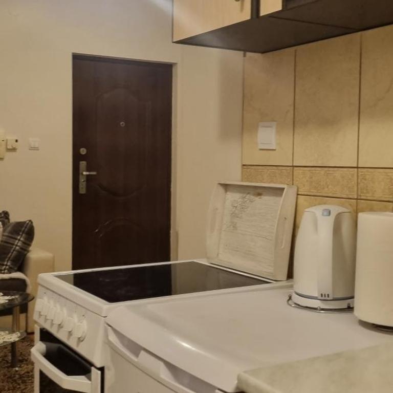 Apartman Bor - Apartman sa 1 Spavaćom Sobom - 16