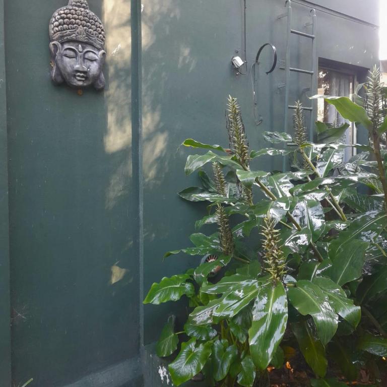 Casita dentro del Bosque Peralta Ramos - Apartamento de 1 dormitorio - 8