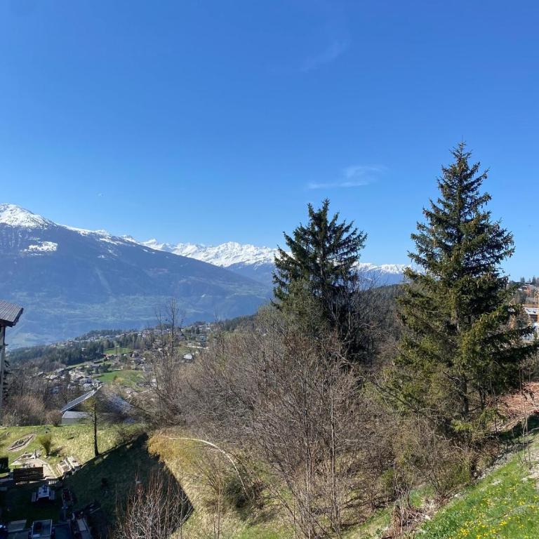 Magnifique appartement avec vue sur les sommets enneigés - Appartement 1 Chambre - 18