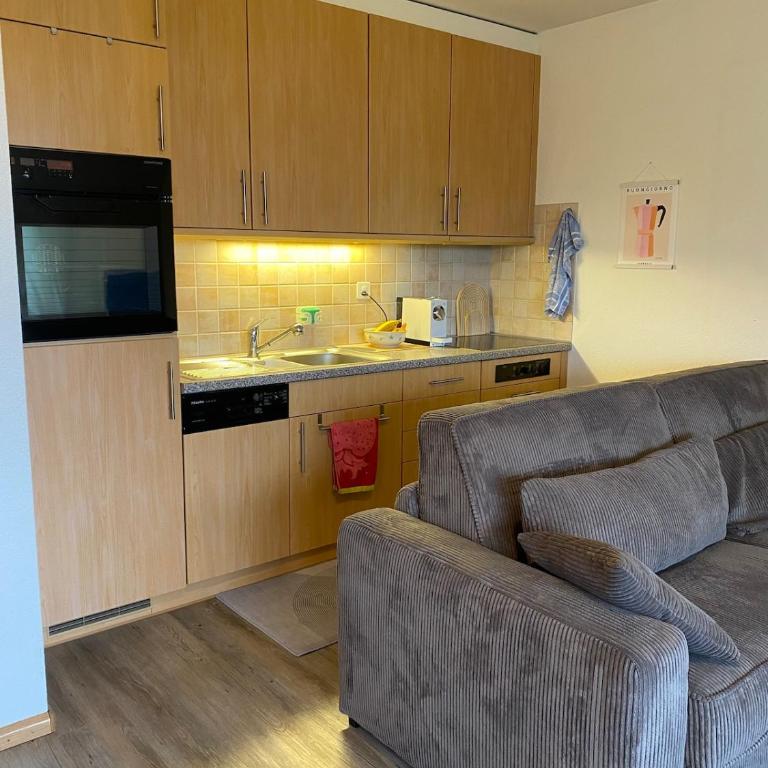 Magnifique appartement avec vue sur les sommets enneigés - Appartement 1 Chambre - 19