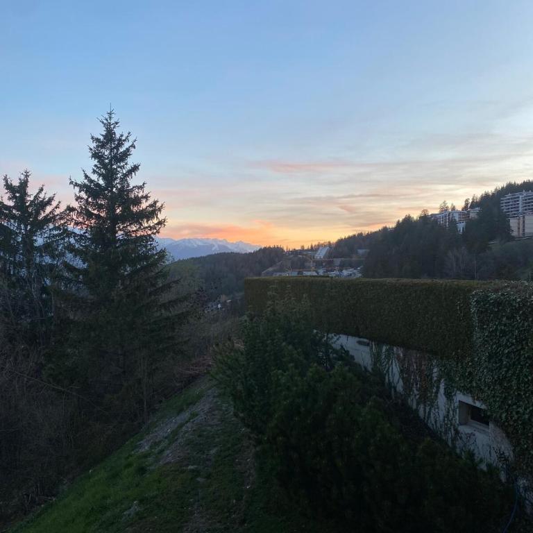 Magnifique appartement avec vue sur les sommets enneigés - Appartement 1 Chambre - 23