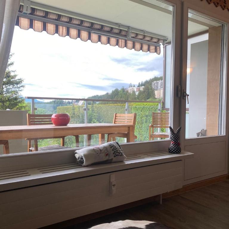 Magnifique appartement avec vue sur les sommets enneigés - Appartement 1 Chambre - 24