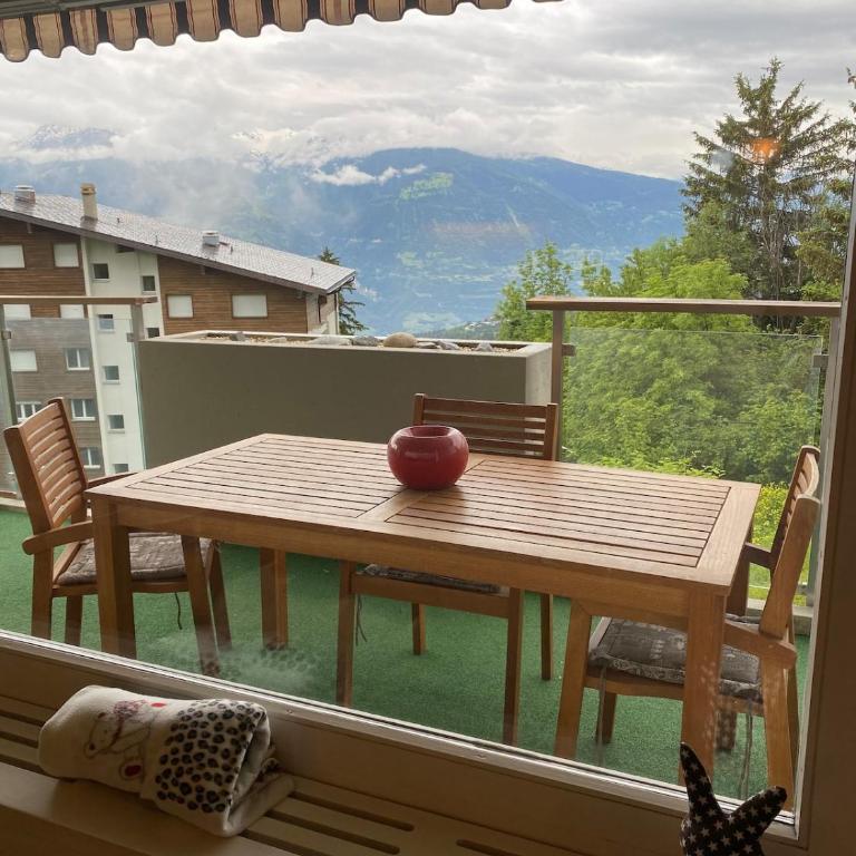 Magnifique appartement avec vue sur les sommets enneigés - Appartement 1 Chambre - 29