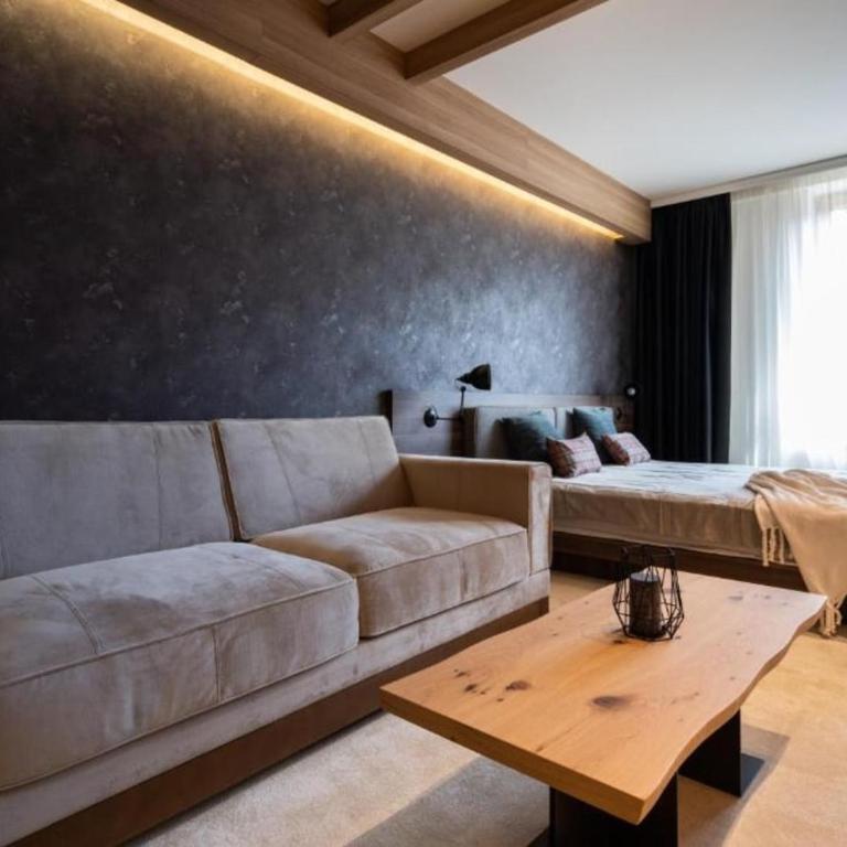 Woodside Mount Kopaonik - Studio Apartment - 12