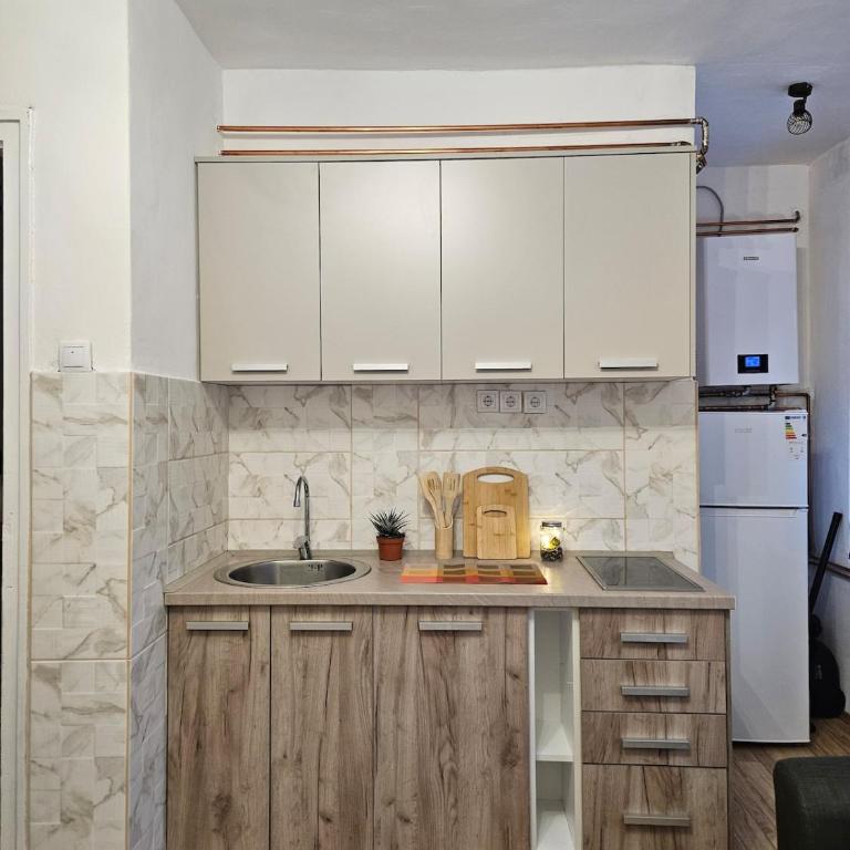 Apartman Begovic - Apartman sa 1 Spavaćom Sobom - 3