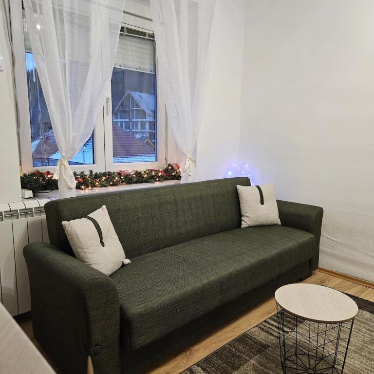 Apartman Begovic - Apartman sa 1 Spavaćom Sobom - 8
