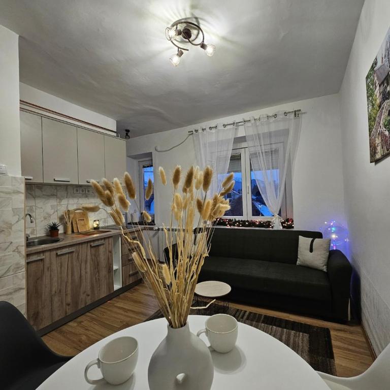 Apartman Begovic - Apartman sa 1 Spavaćom Sobom - 1