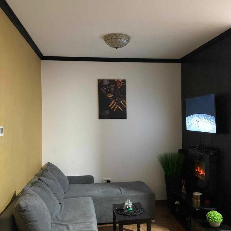 Diamond Lux Zlatibor - One-Bedroom Apartment - 11