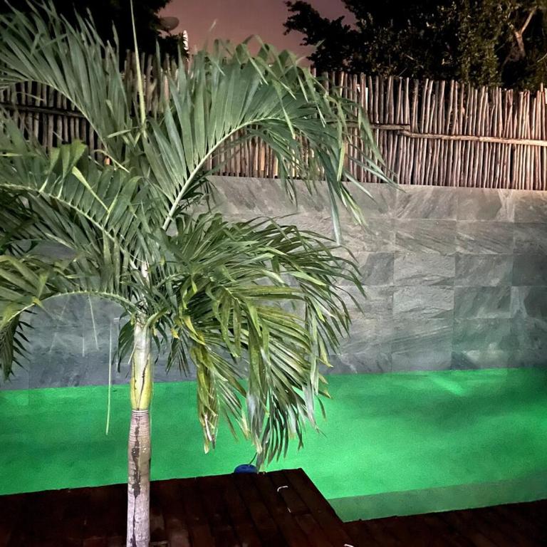 Charming 3bedroom House in Tulum - Casa con 1 dormitorio - 21