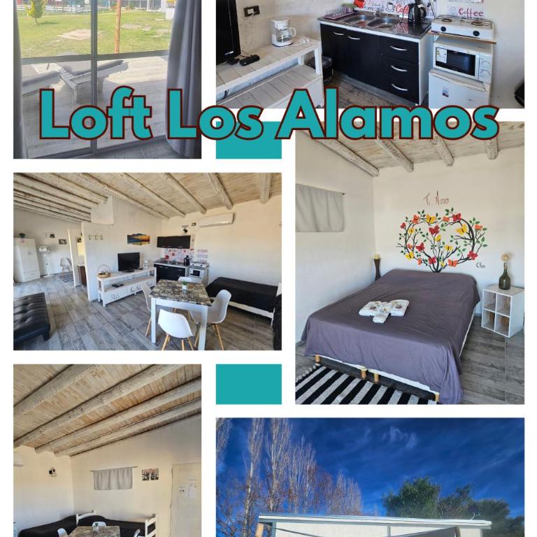 Posada de Campo Pura Vida - Apartamento con vistas a la piscina - 39