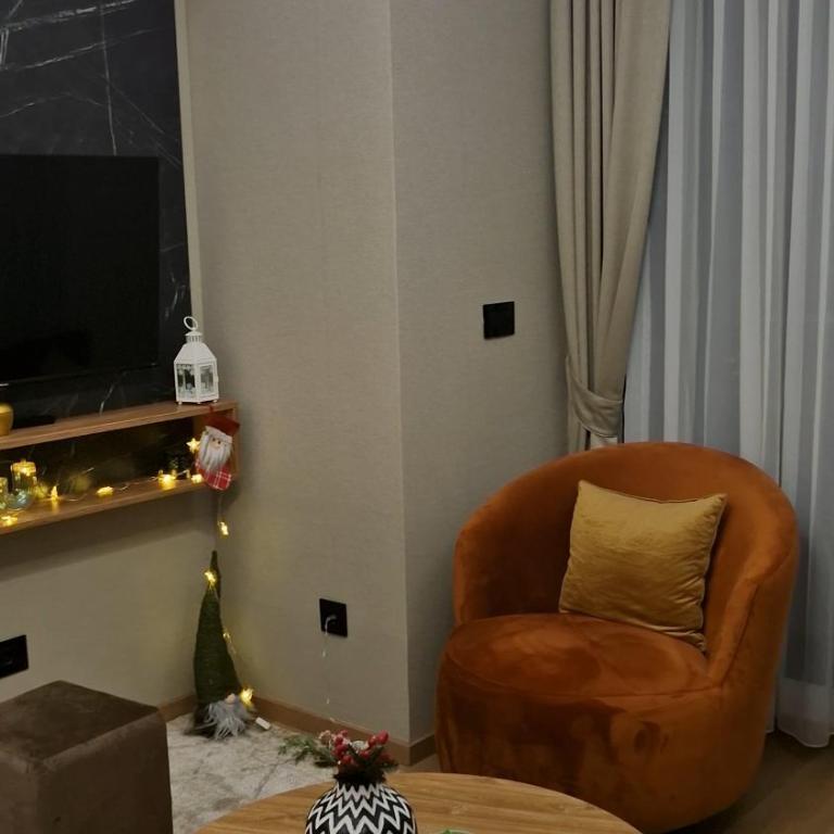 VIRTUS apartmani Vrnjačka Banja centar - Premium Apartman sa 1 Spavaćom Sobom - 11