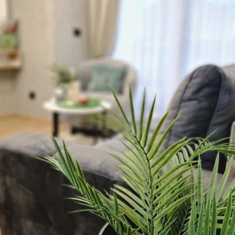 VIRTUS apartmani Vrnjačka Banja centar - Apartman s 1 Spavaćom Sobom i Terasom - 23