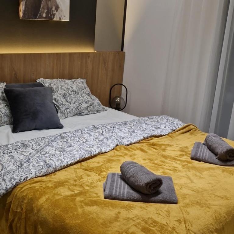VIRTUS apartmani Vrnjačka Banja centar - Premium Apartman sa 1 Spavaćom Sobom - 25