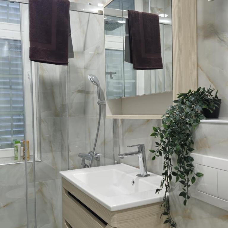 VIRTUS apartmani Vrnjačka Banja centar - Apartman sa 1 Spavaćom Sobom – Nepušački - 6
