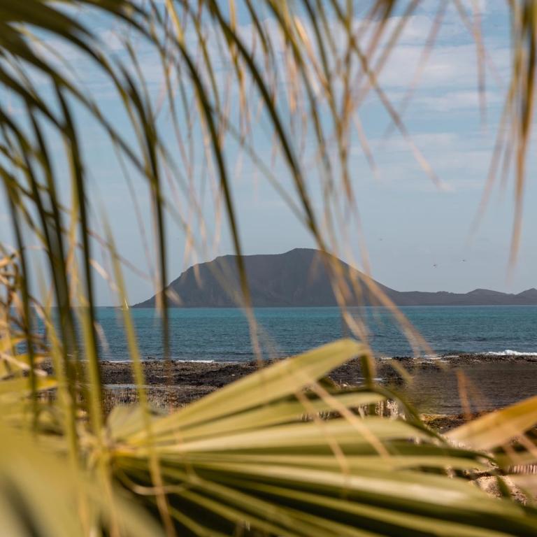 Villa Hondartza Corralejo - Villa de 3 dormitorios - 22