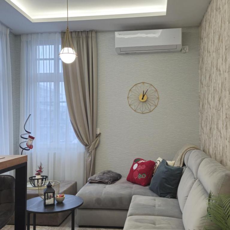 VIRTUS apartmani Vrnjačka Banja centar - Apartman sa 1 Spavaćom Sobom – Nepušački - 9