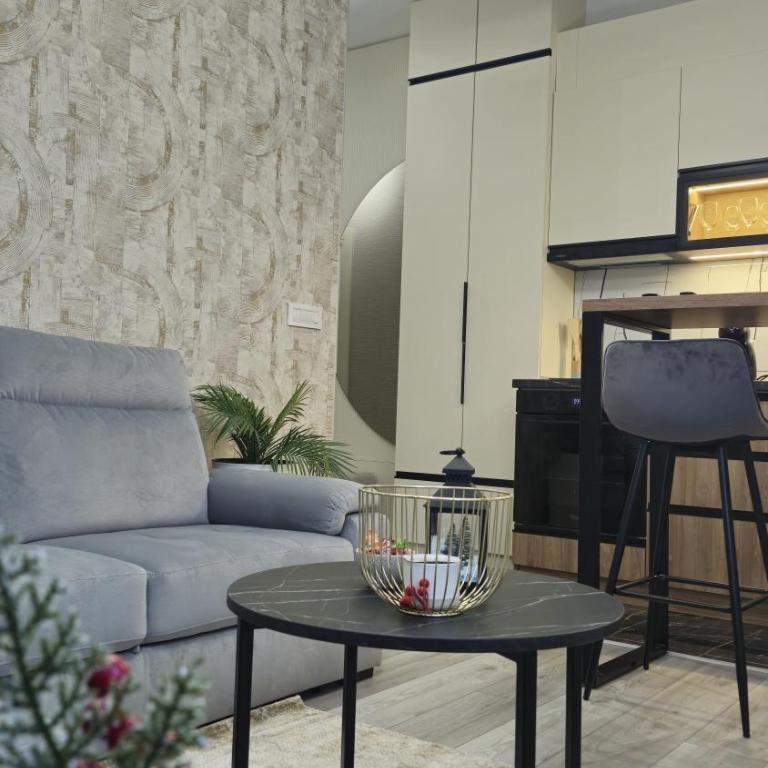 VIRTUS apartmani Vrnjačka Banja centar - Apartman sa 1 Spavaćom Sobom – Nepušački - 8