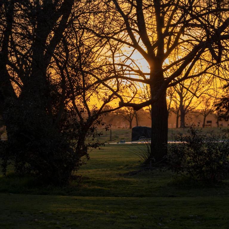Estancia Los Patos - Habitación Doble - 1 o 2 camas - 6