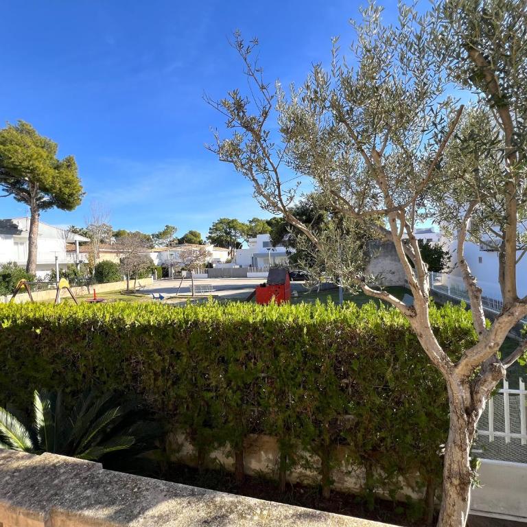 Mallorca Casa Torrens 50 m from Alcudia Beach - Casa de 3 dormitorios - 42