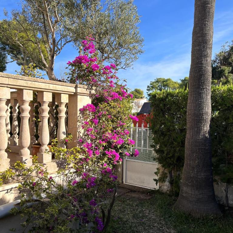 Mallorca Casa Torrens 50 m from Alcudia Beach - Casa de 3 dormitorios - 47