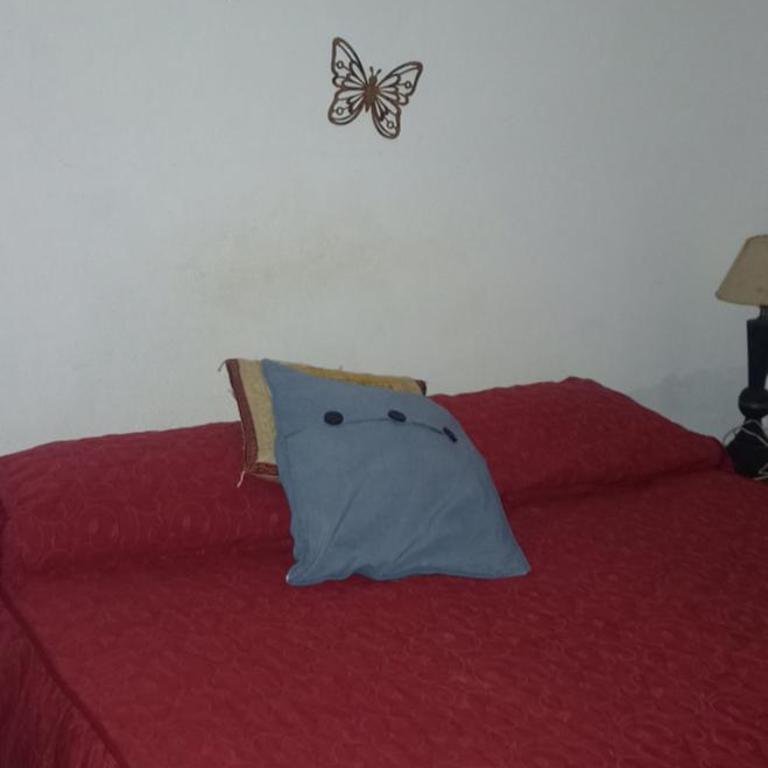 Zut1 - One-Bedroom Apartment - 3