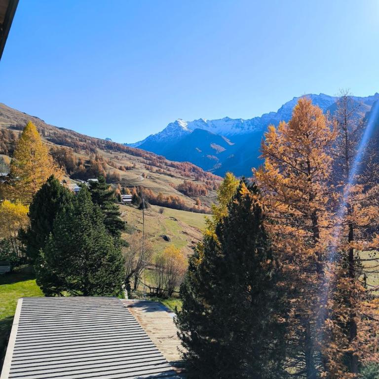 Authentique chalet du Queyras - Saint Véran - Parc naturel du Queyras - Chalet - 54