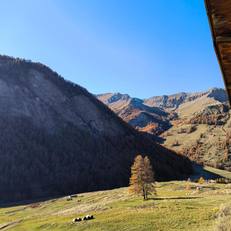 Authentique chalet du Queyras - Saint Véran - Parc naturel du Queyras - Chalet - 76
