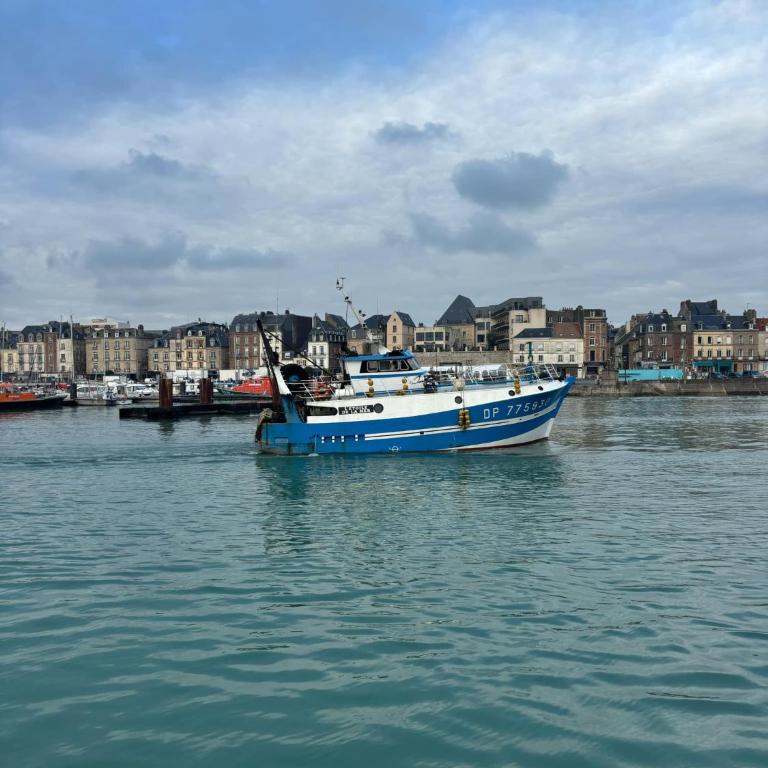 Duplex Beauregard - calme & proche de la plage - Appartement 1 Chambre - 21