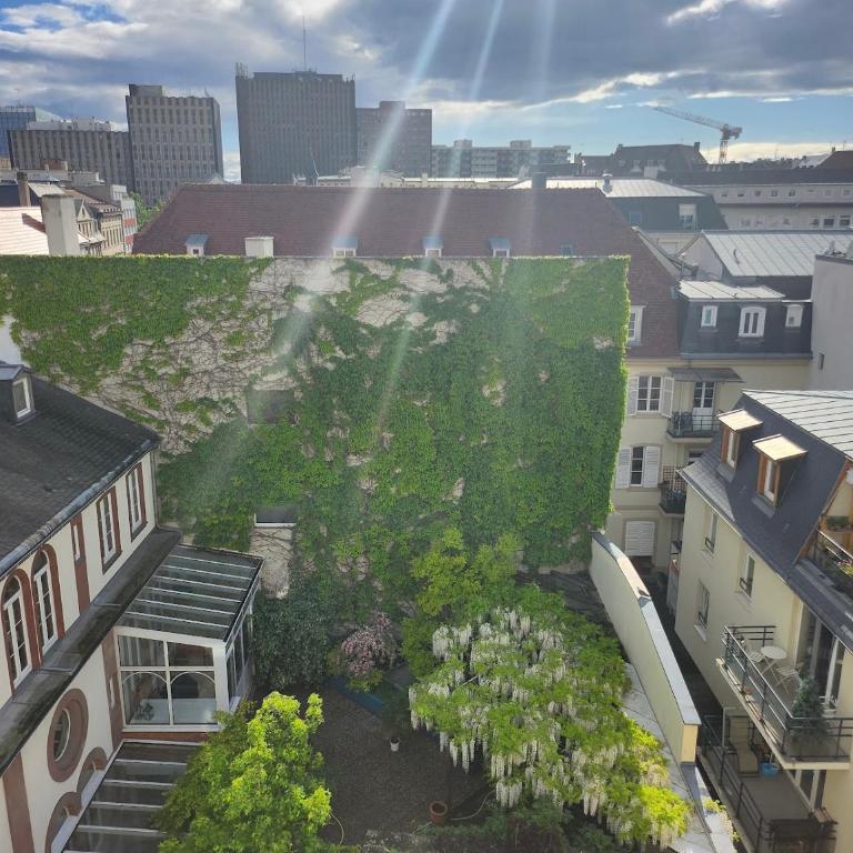 Strasbourg centre proche gare - Apartamento de 2 dormitorios - 11