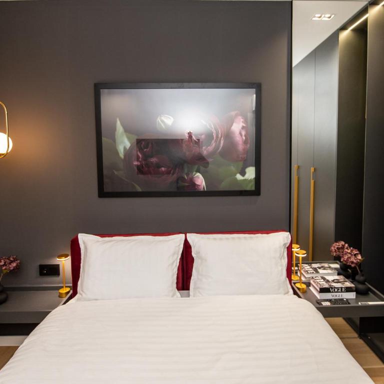 Tara Centar - Apartman sa 1 Spavaćom Sobom - 12