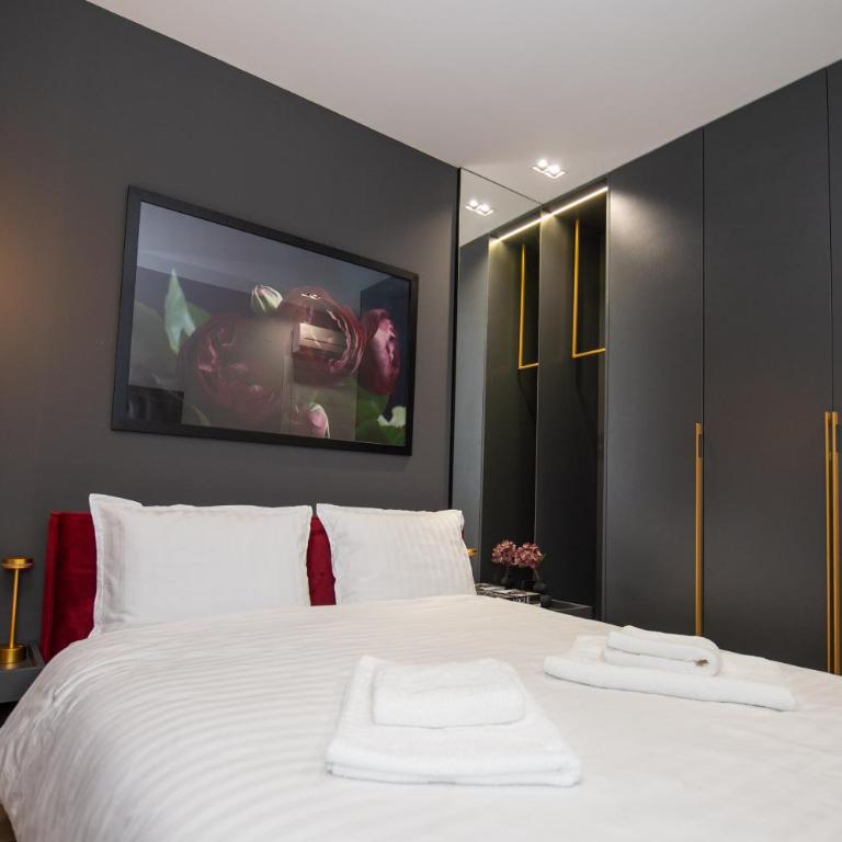 Tara Centar - Apartman sa 1 Spavaćom Sobom - 13