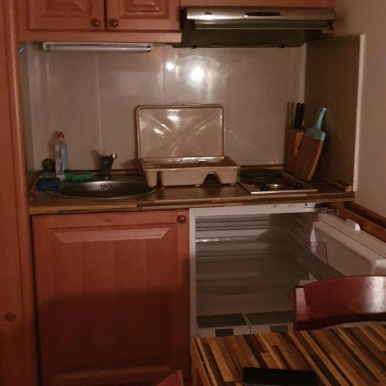 Apartman Sivi Vuk Kopaonik - Apartman sa 1 Spavaćom Sobom - 5